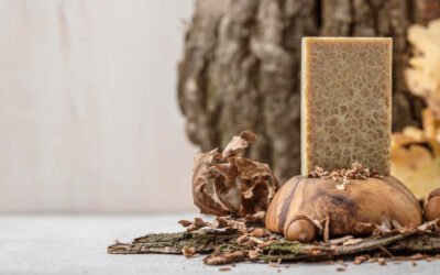 The Rise of Clean Beauty: From Raw Sugar Shampoo to Plant-Based Soap